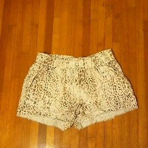 Cloth shorts